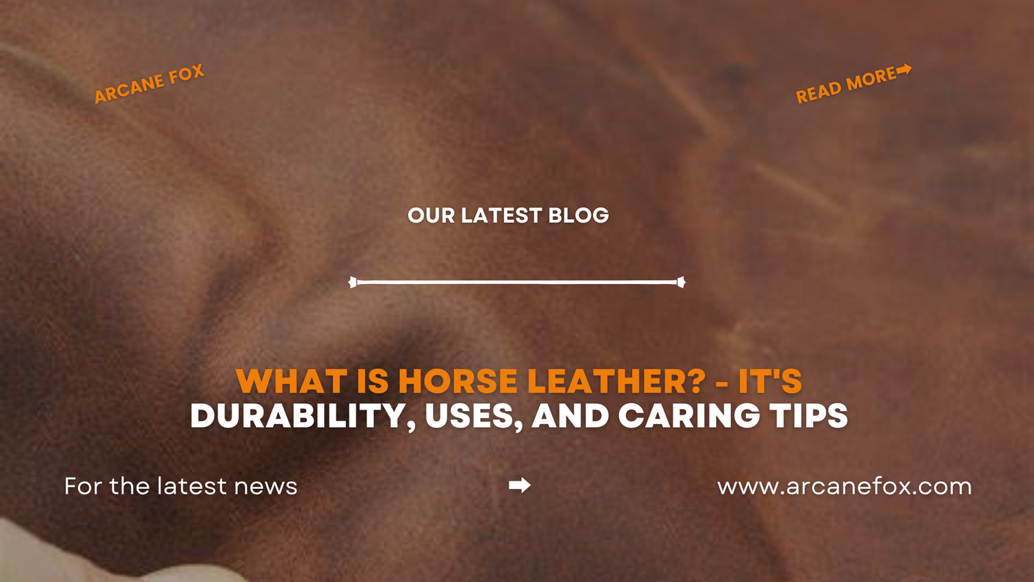 What is Horse Leather? It's Durability, Uses, and Care Tips