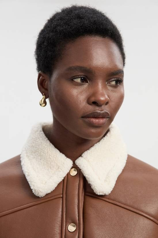 Women's Shearling Brown Leather Jacket With Button Closure